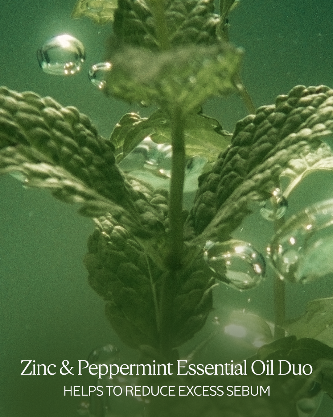 Purifying Freshness Conditioner 2.5 fl. oz - Image 4