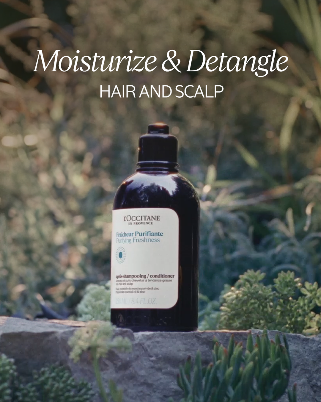 Purifying Freshness Conditioner 16.9 fl. oz - Image 2