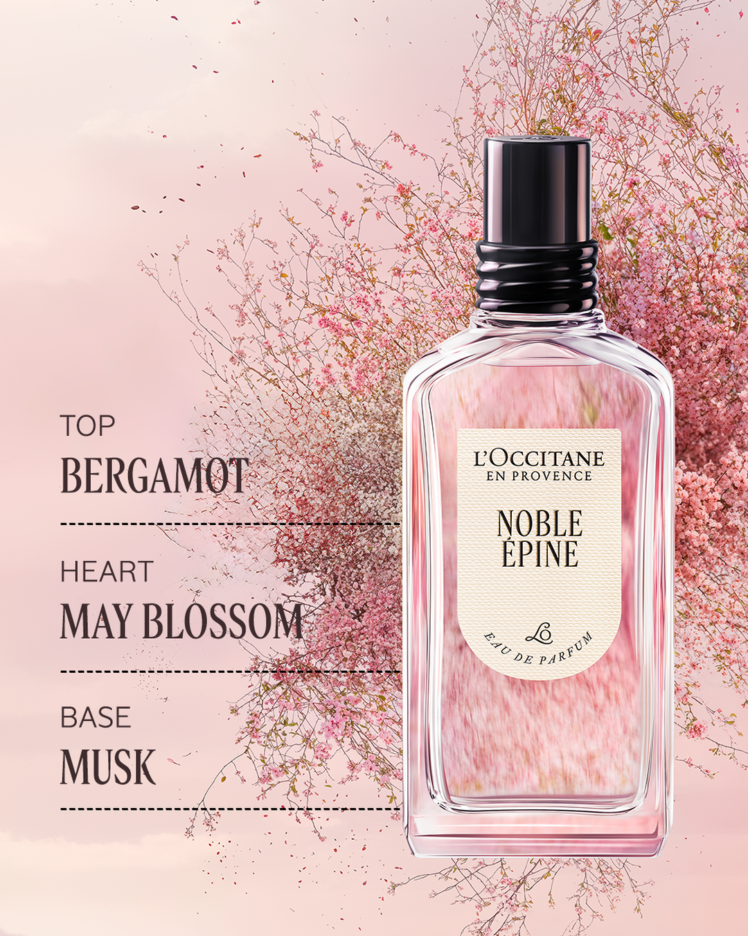 Noble épine Eau de Parfum - Image 3