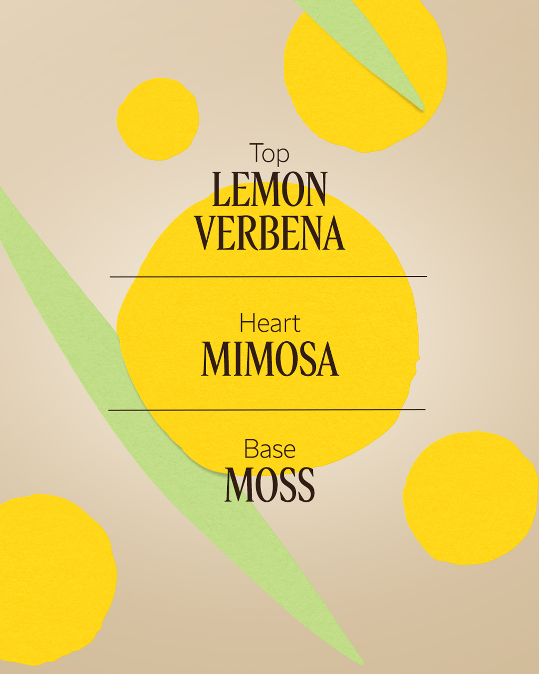 Mimosa Verveine Eau de Toilette 1.6 fl. oz - Image 3