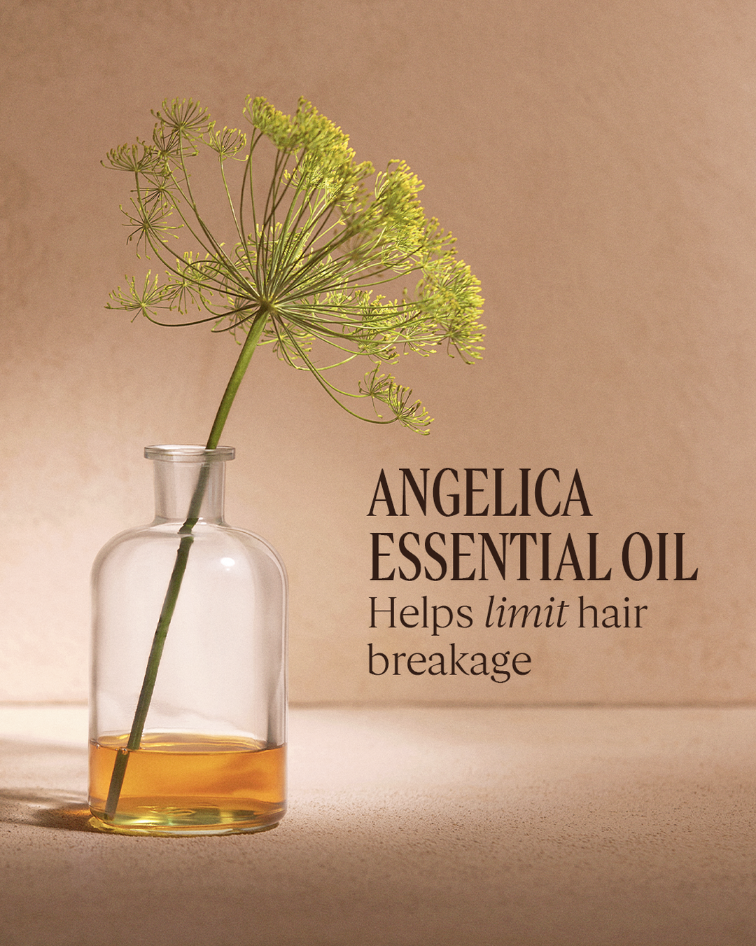 Intensive Repair Anti-Frizz Emulsion - Image 3
