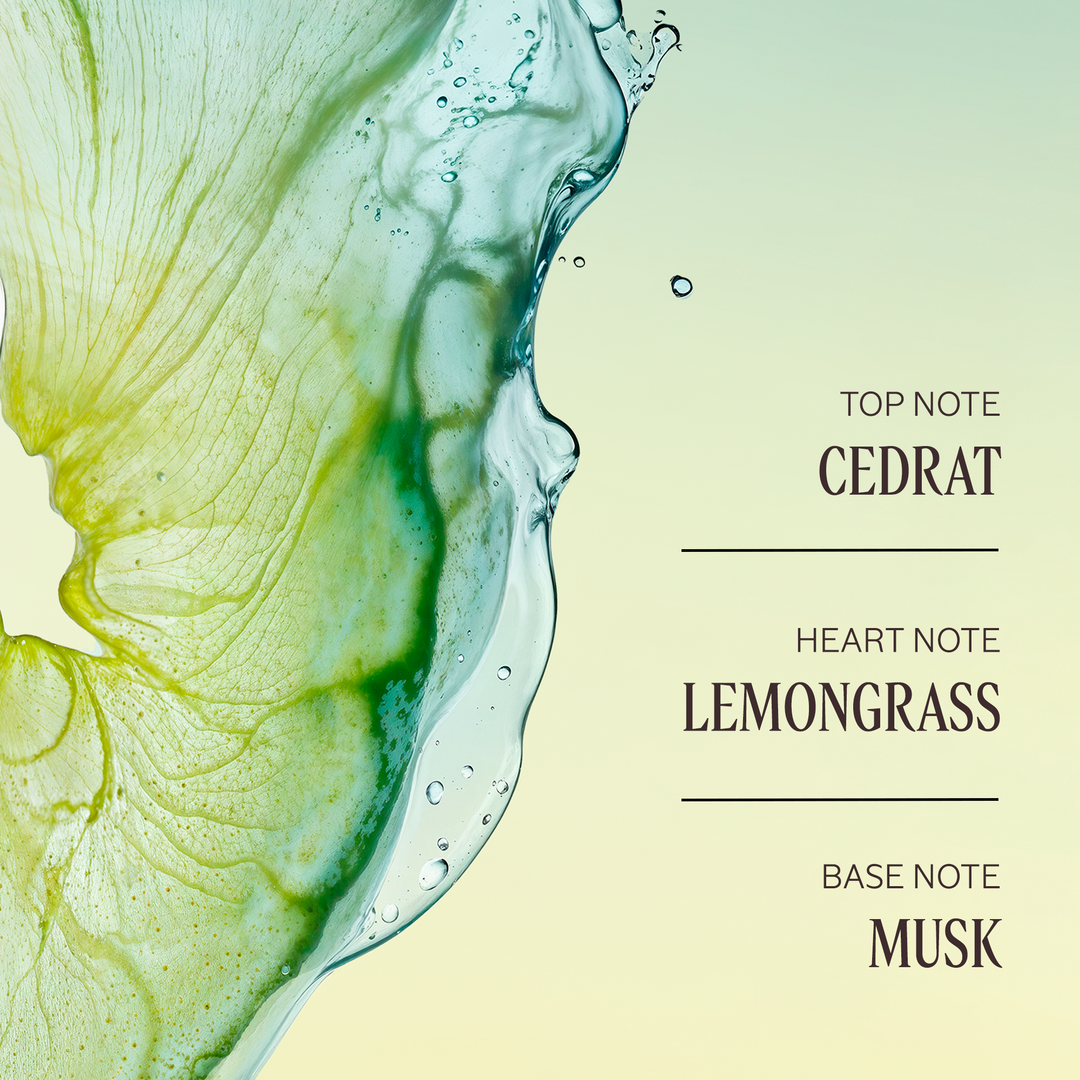 Cédrat Stick Deodorant Refill - Image 3