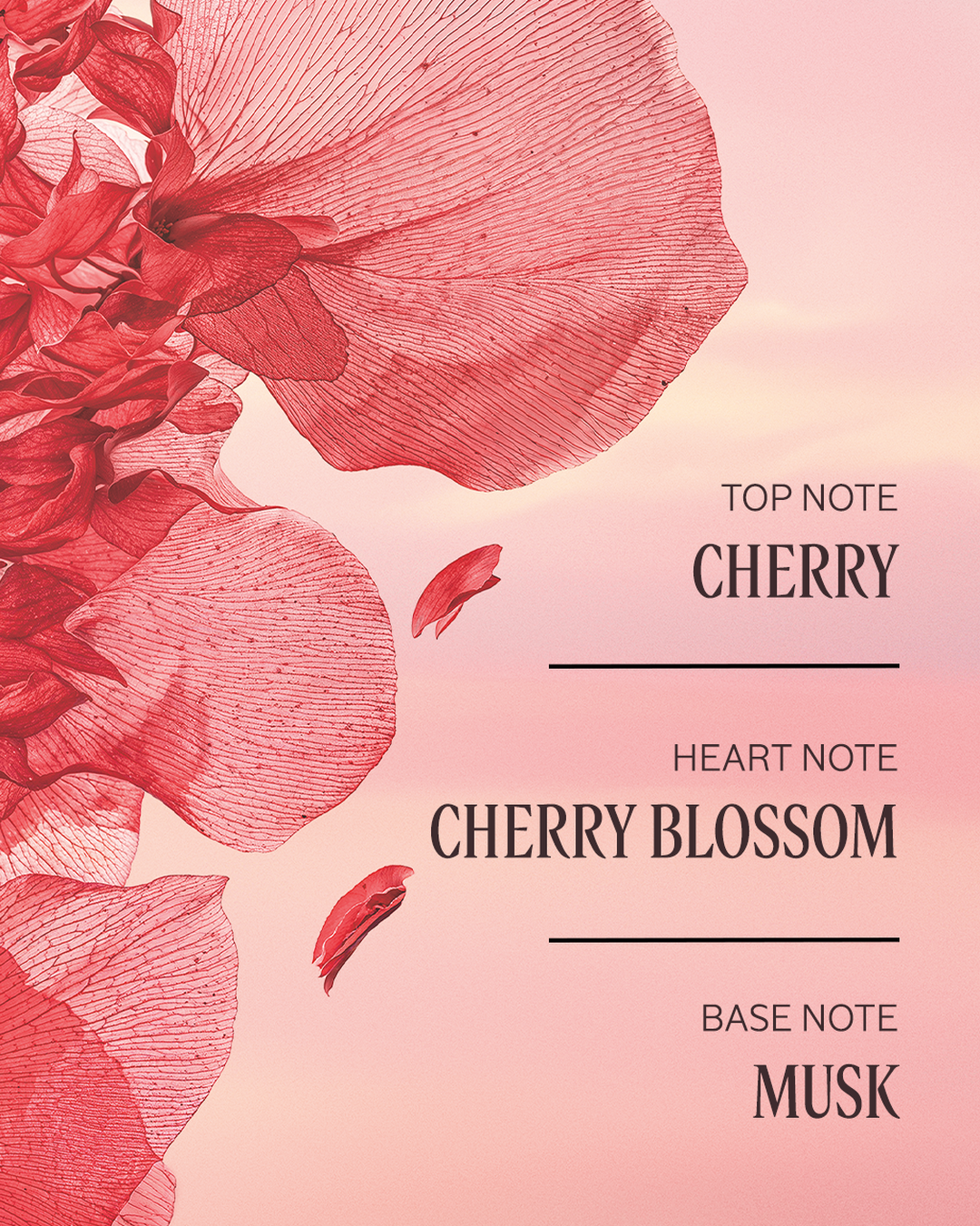 Fleurs de Cerisier (Formerly Cherry Blossom) Lip Balm 0.38 fl. oz - Image 2