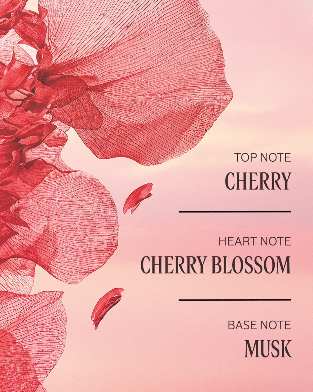 Fleurs de Cerisier (Formerly Cherry Blossom) Perfumed Body Lotion 2.5 fl. oz - Image 2