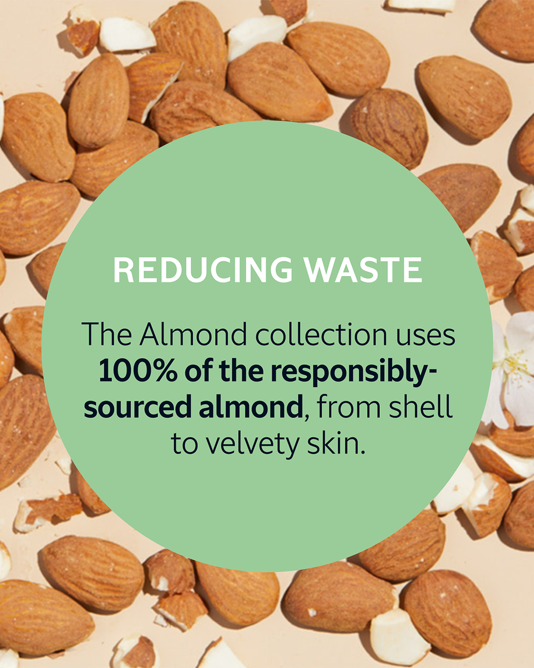 Almond Delicious Shower - Image 8