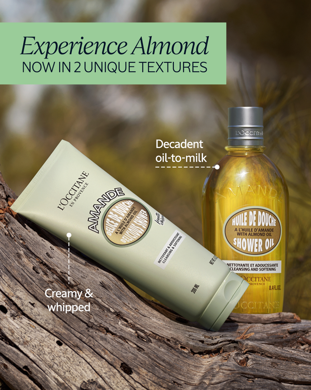 Almond Delicious Shower - Image 9