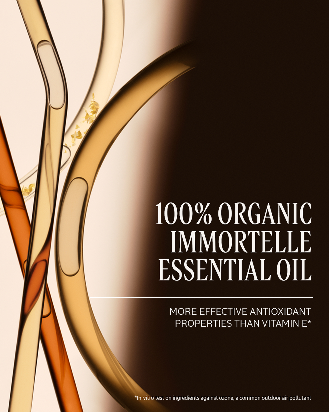 Immortelle Divine Collection - Image 7