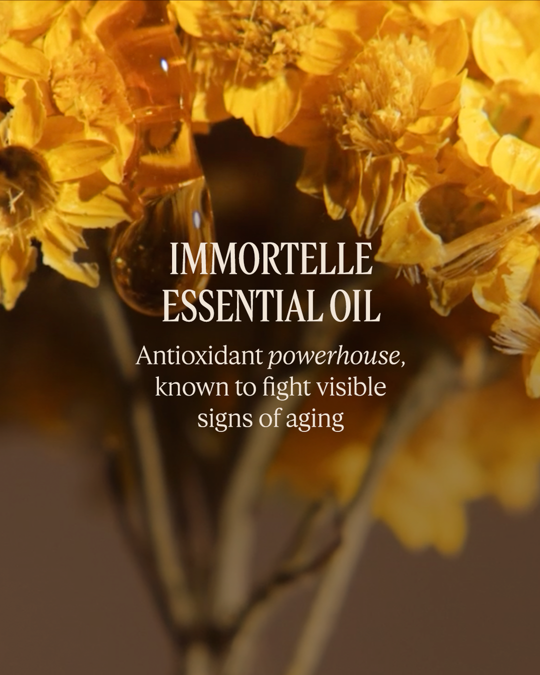 Immortelle Reset Précieuse - Image 3