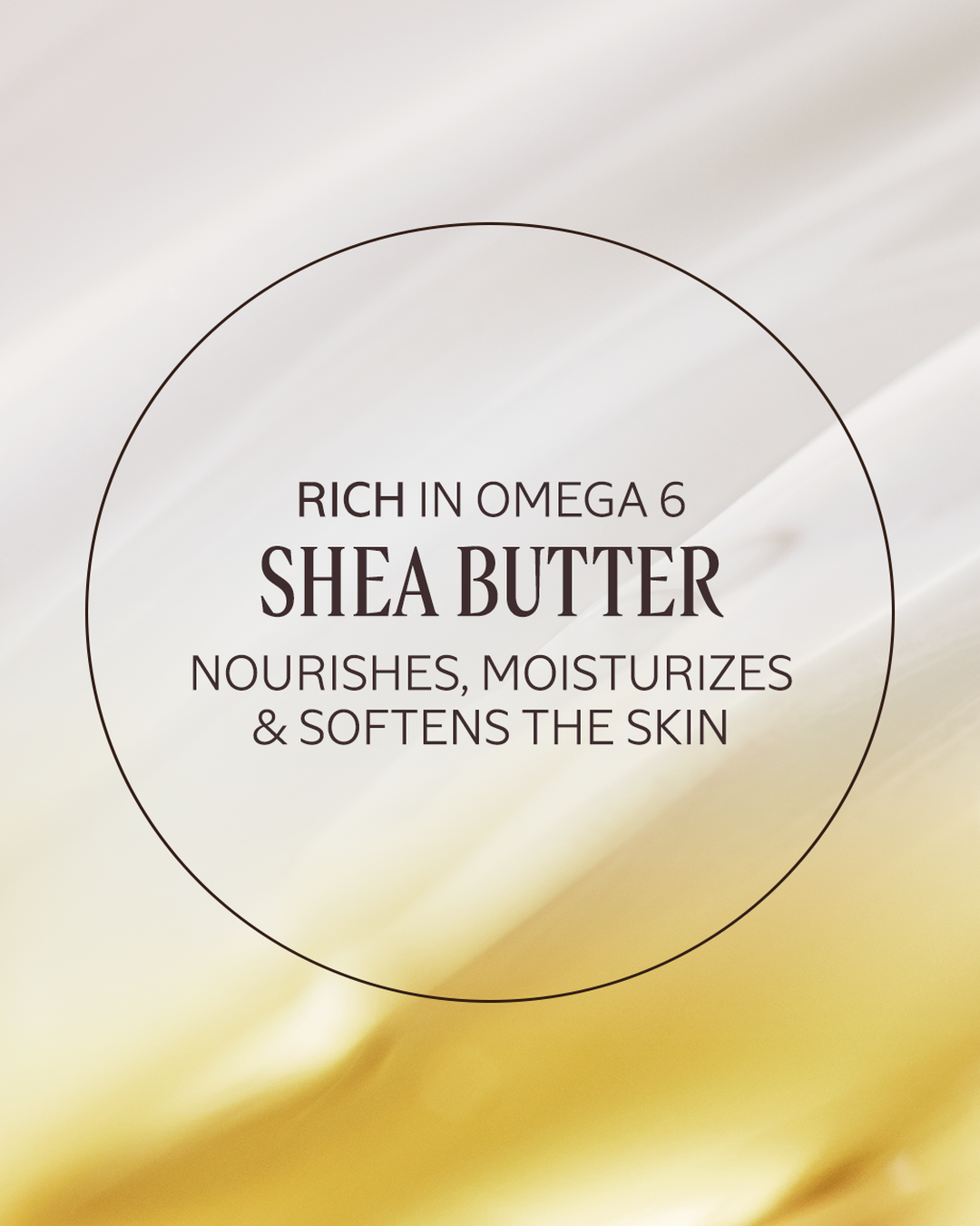 Advanced Immortelle Shea Hands + Body Duo - Image 2