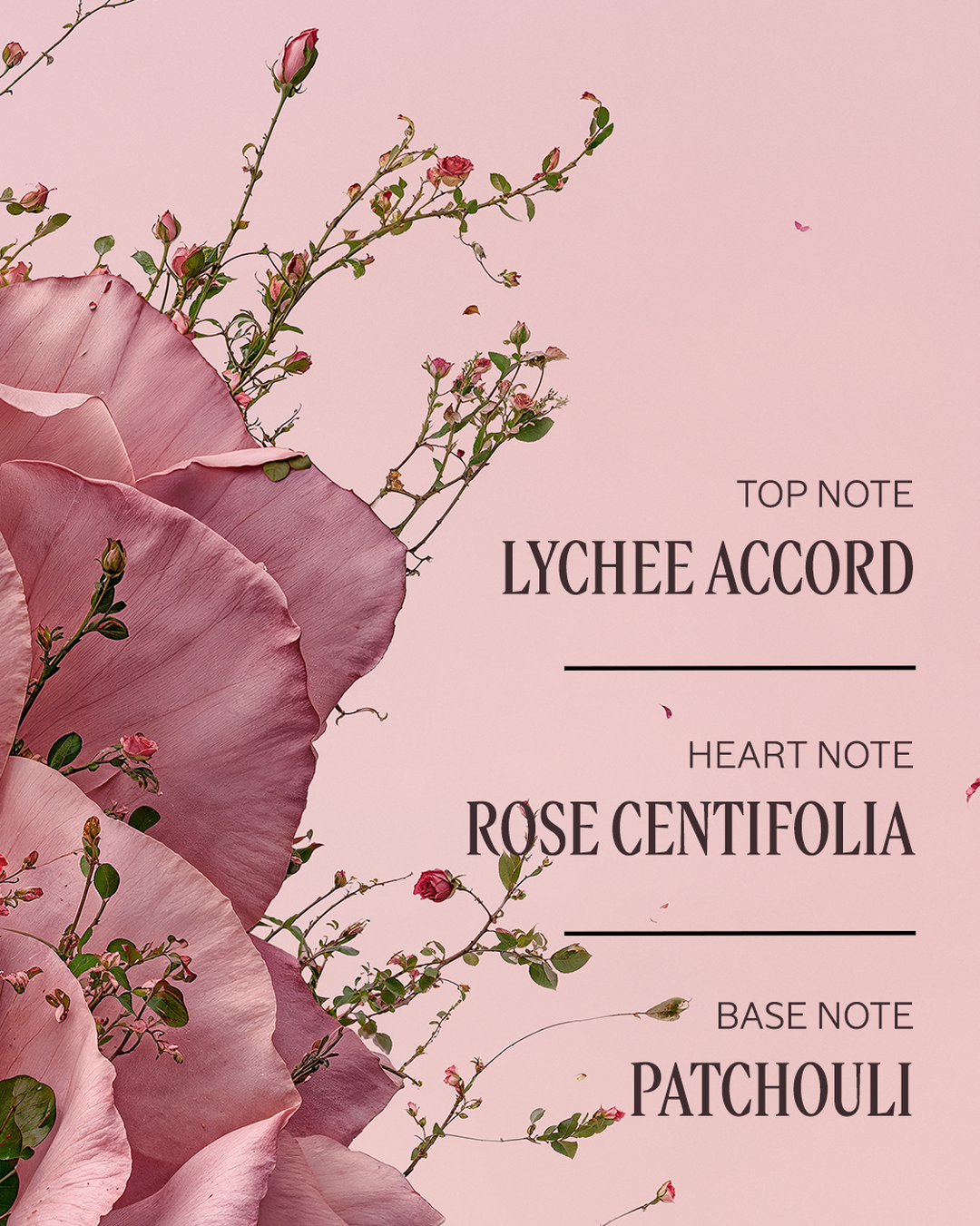 Rosy Ritual - Image 4