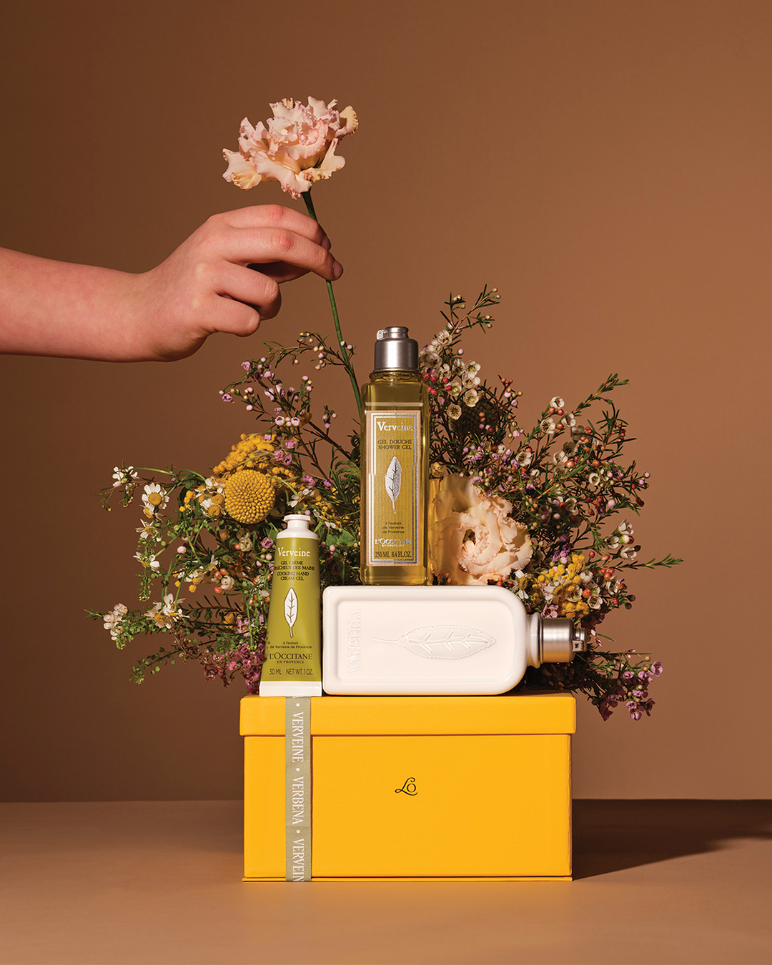 Verbena Collection - Image 2