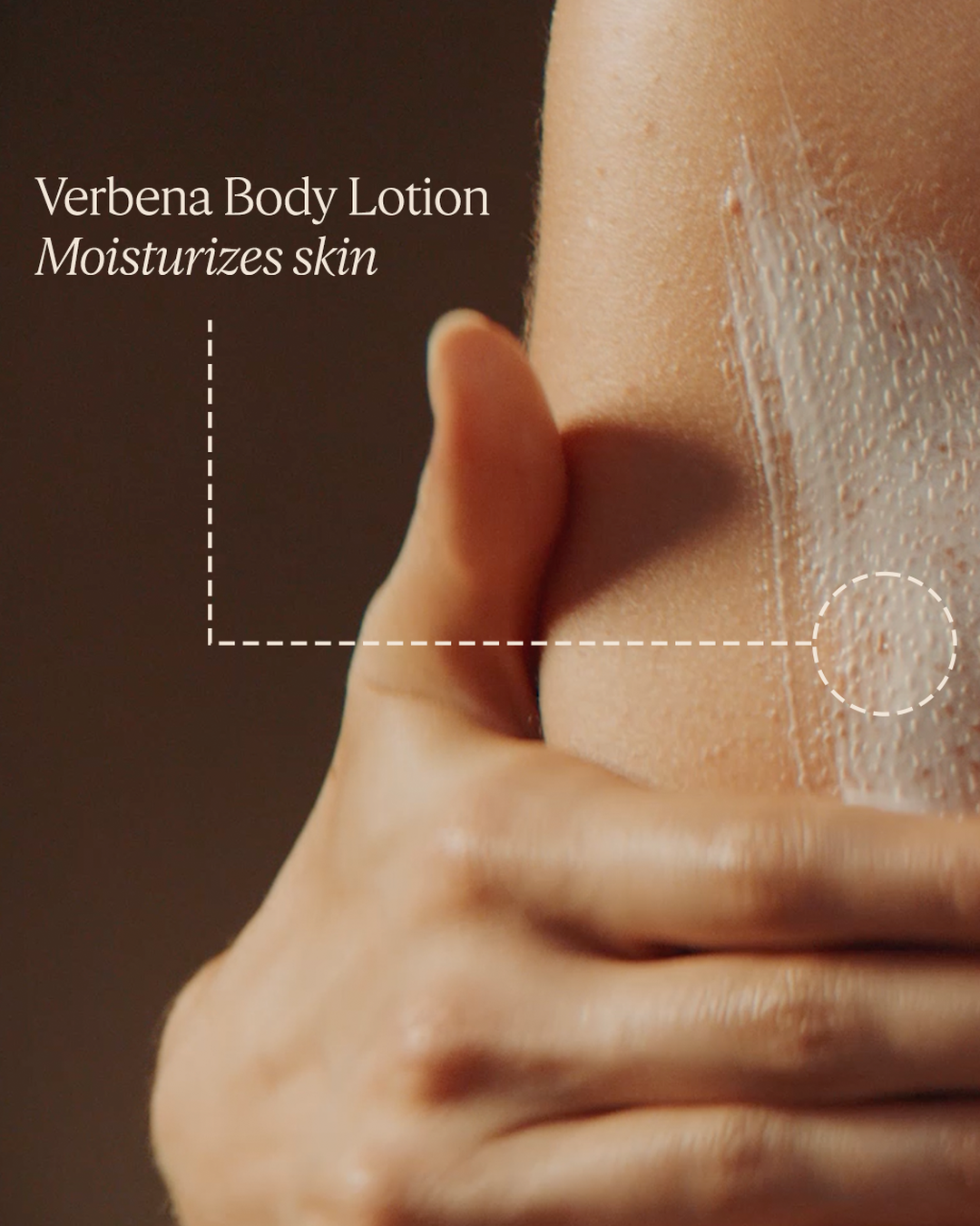 Verbena Collection - Image 6
