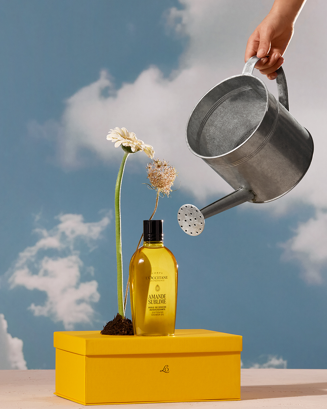 Best of L'Occitane - Image 5